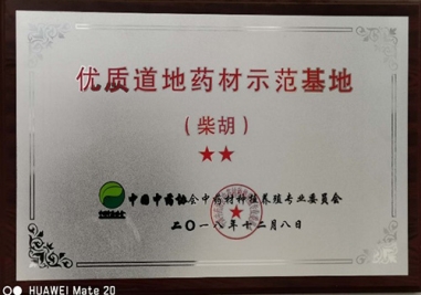 山东百味堂中药饮片有限公司柴胡种植基地荣获“优质道地药材示范基地”